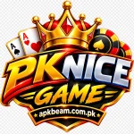 PKNICE Game Icoc